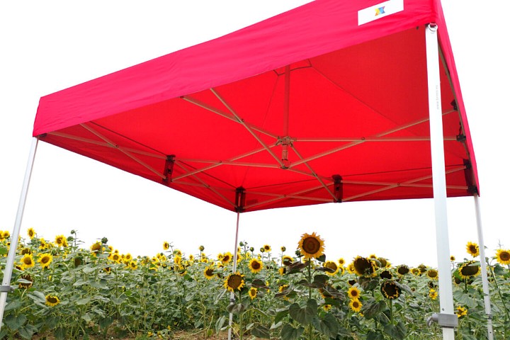 gazebo pieghevole 3x3m