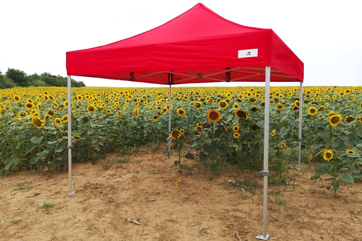 tenda a forbice 3x3m